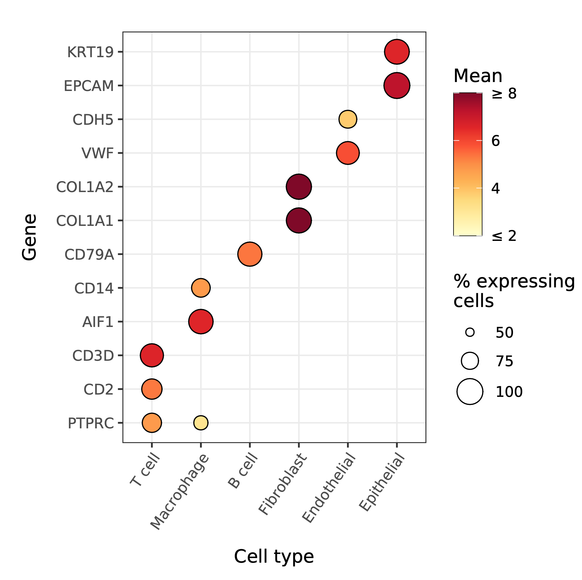 Cell Type Marker Dot plot